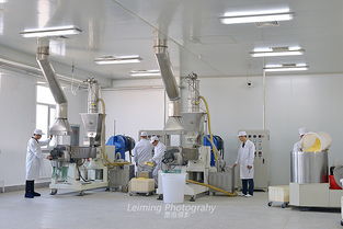 光影藝術(shù)，味蕾綻放 比客食品廠與哈爾濱雷鳴攝影的商業(yè)攝影合作